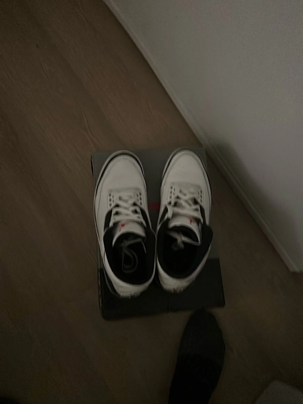 Jordan iconic silhouette
